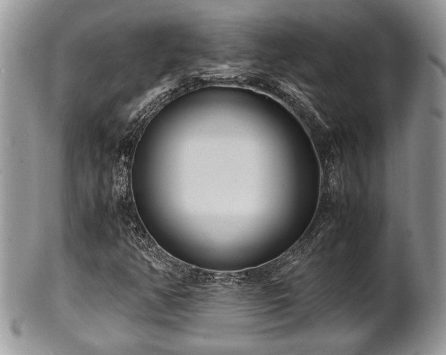 X0000102031350200807251342