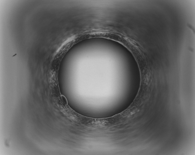 X0000102031351200807251342