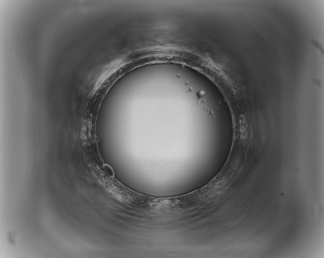 X0000102031352200807251342