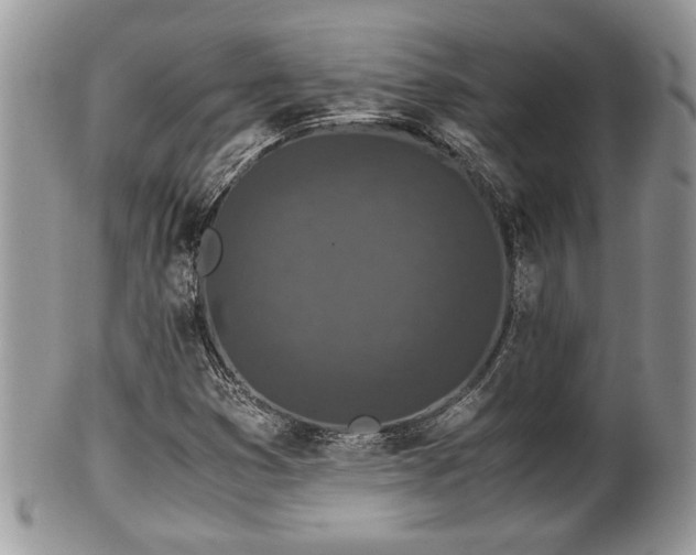 X0000102031353200807251342