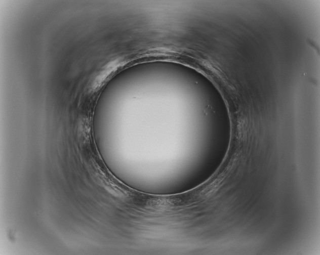 X0000102031355200807251342