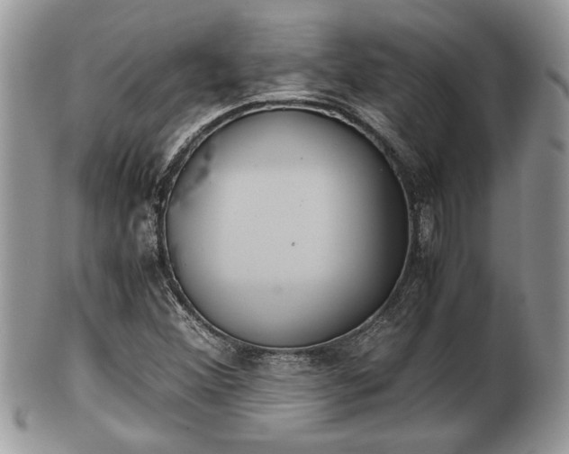 X0000102031356200807251342