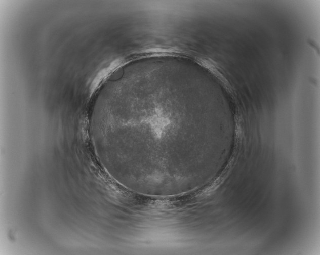 X0000102031357200807251342