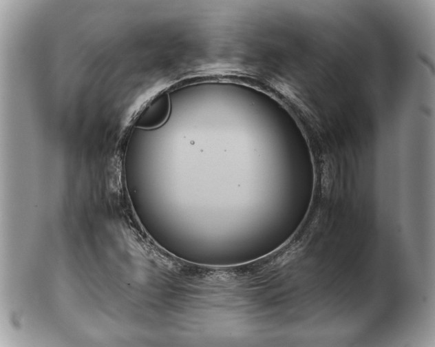 X0000102031358200807251342