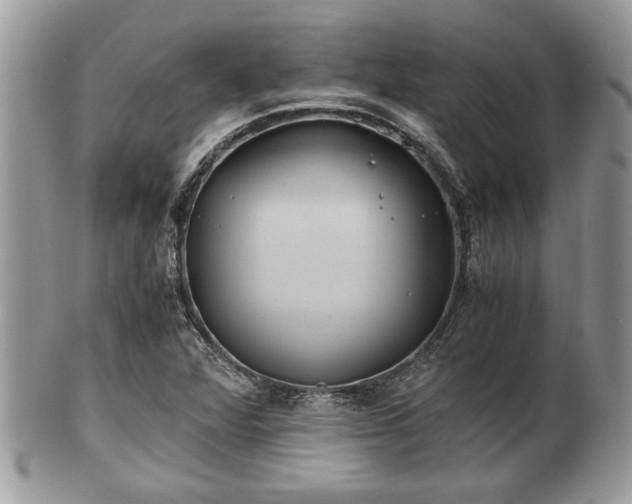 X0000102031360200807251342