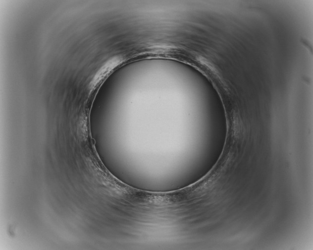 X0000102031362200807251342