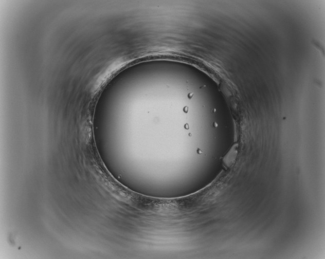 X0000102031363200807251342