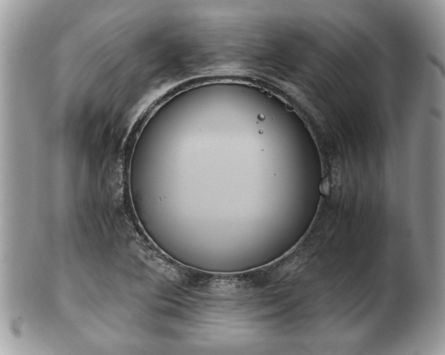 X0000102031364200807251342