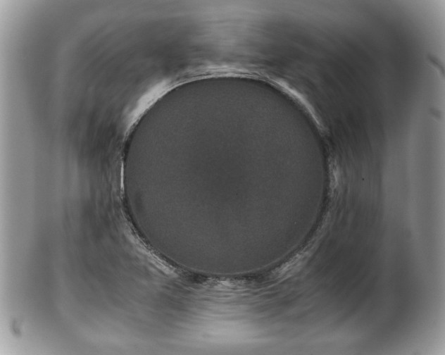 X0000102031365200807251342