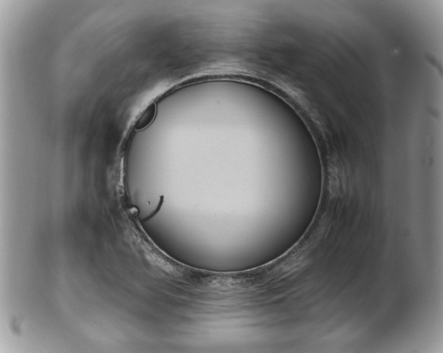 X0000102031366200807251342