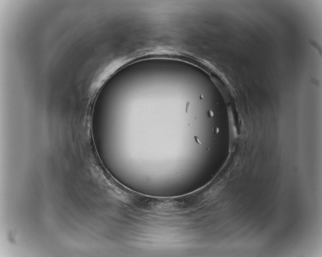 X0000102031367200807251342