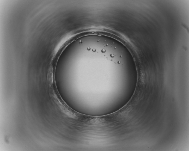 X0000102031368200807251342