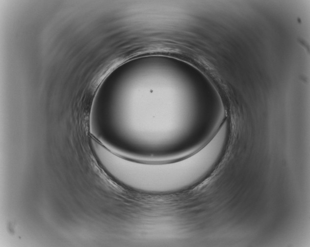 X0000102031369200807251342