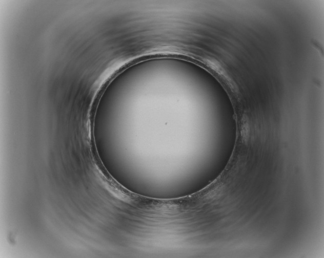 X0000102031372200807251342