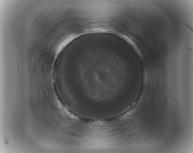 X0000102031373200807251342