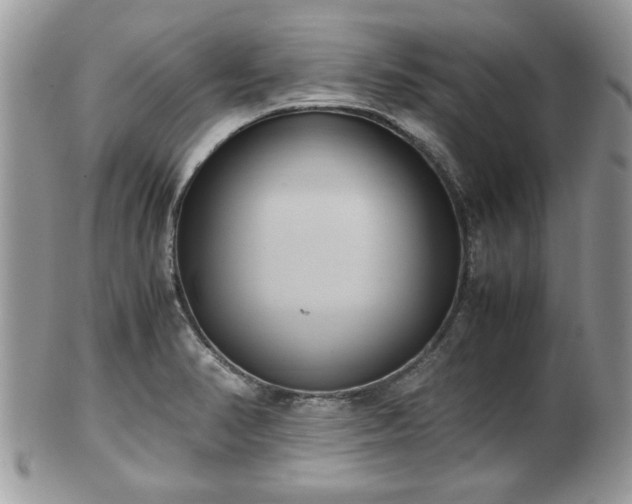 X0000102031374200807251342