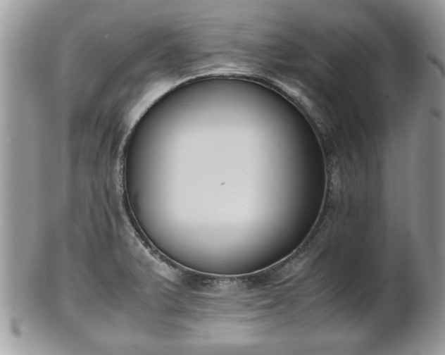 X0000102031375200807251342