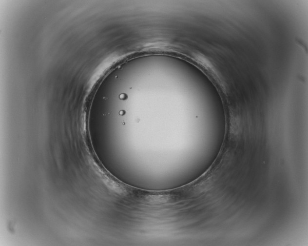 X0000102031376200807251342