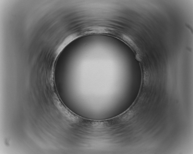 X0000102031378200807251342