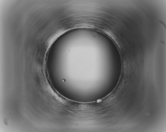 X0000102031379200807251342