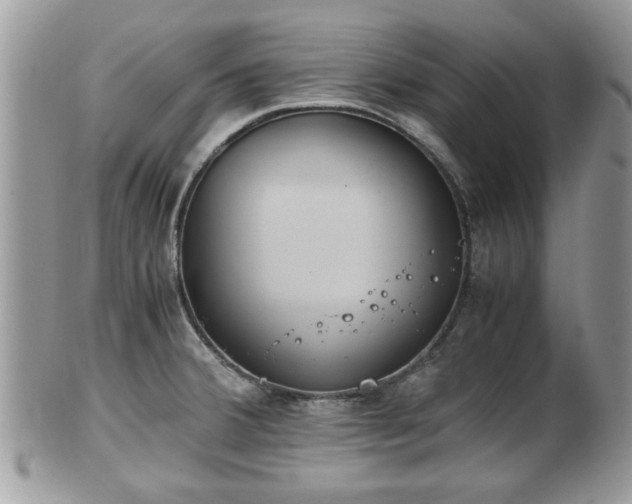 X0000102031380200807251342