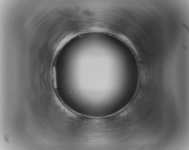 X0000102031381200807251342