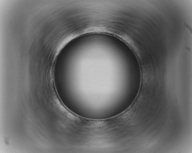 X0000102031382200807251342