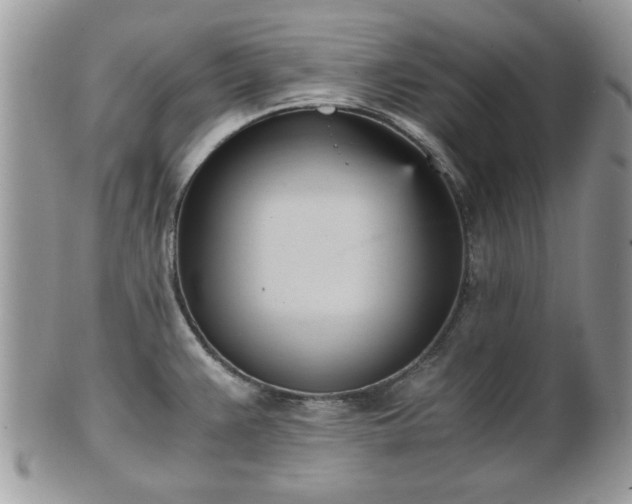 X0000102031383200807251342