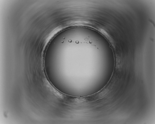 X0000102031384200807251342