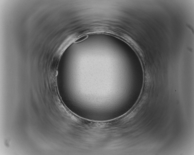 X0000102031385200807251342