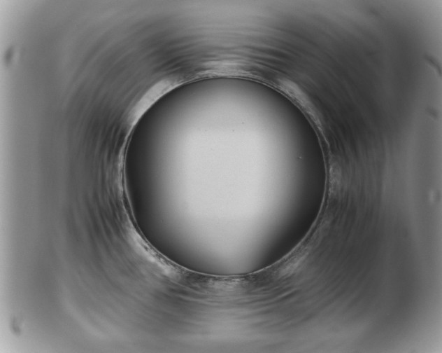 X0000102031386200807251342