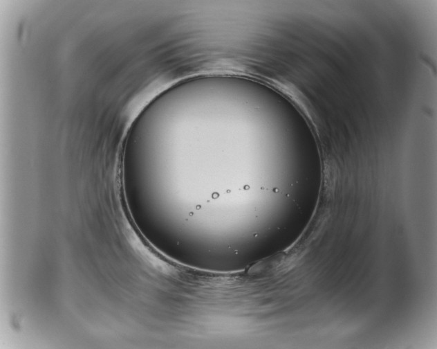 X0000102031387200807251342