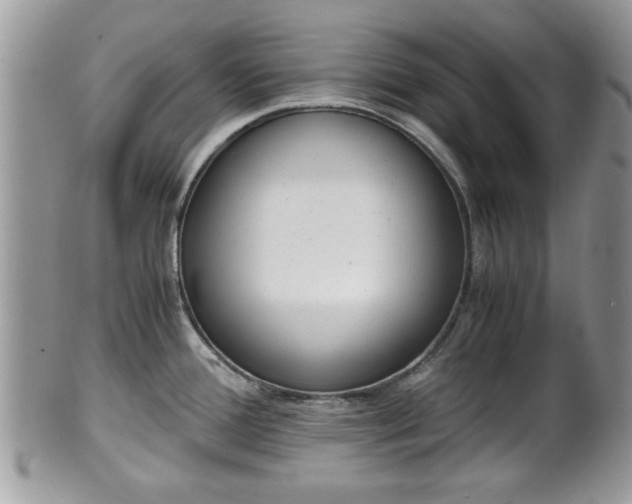 X0000102031388200807251342