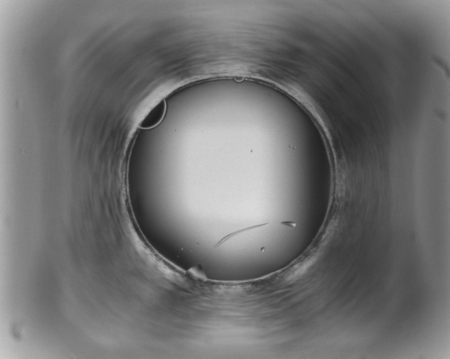 X0000102031389200807251342