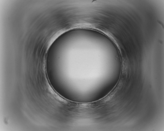 X0000102031390200807251342