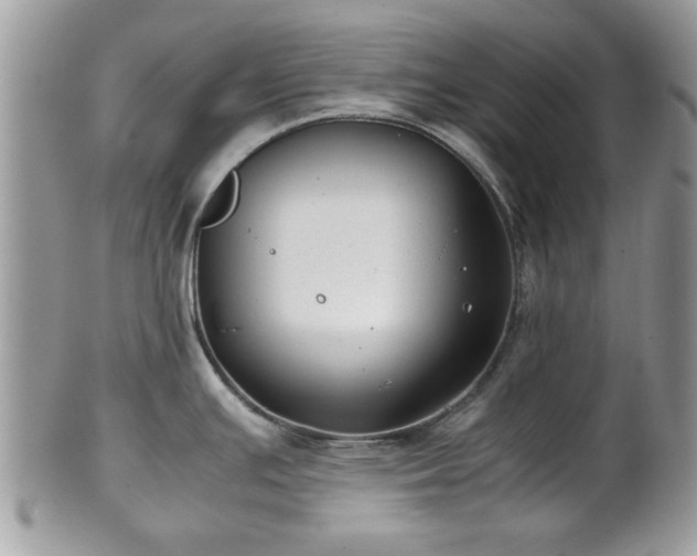 X0000102031391200807251342