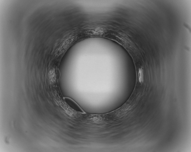 X0000102031395200807251341