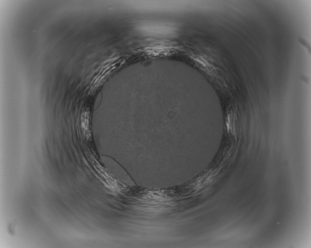 X0000102031396200807251341