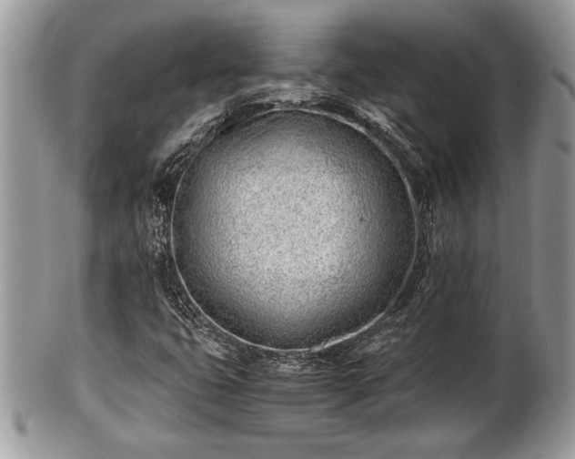 X0000102031399200807251341