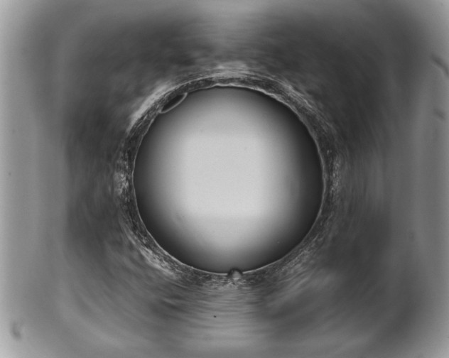 X0000102031400200807251341