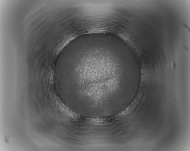 X0000102031401200807251341