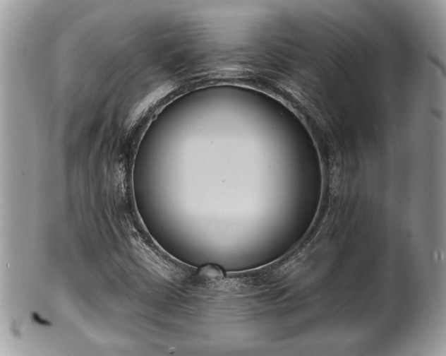 X0000102031402200807251341