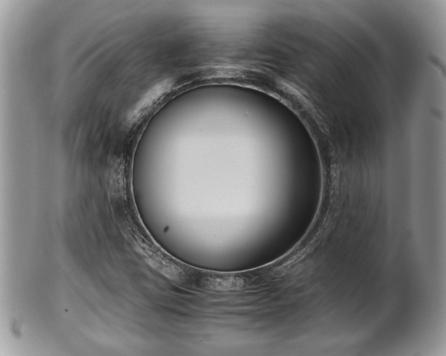 X0000102031403200807251341