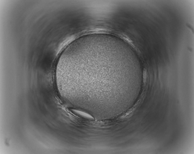 X0000102031405200807251341