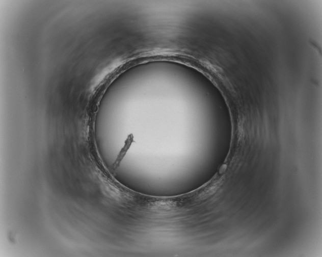 X0000102031406200807251341