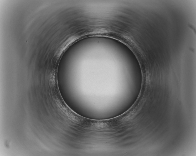 X0000102031409200807251341