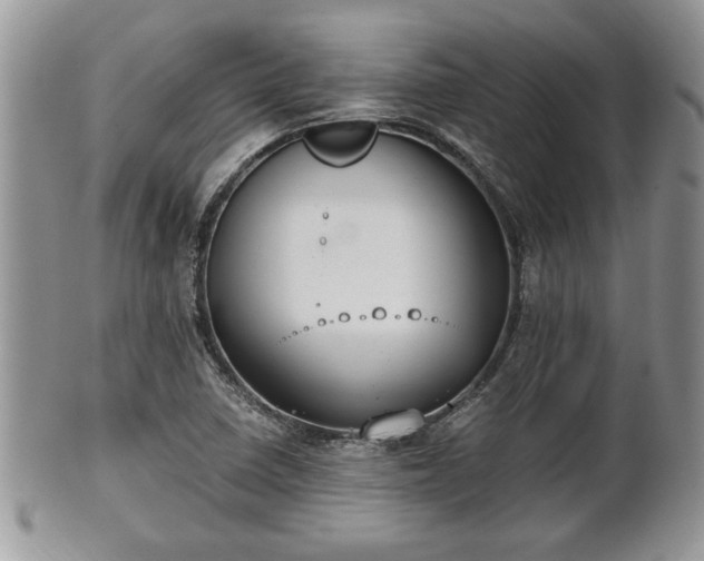 X0000102031410200807251341