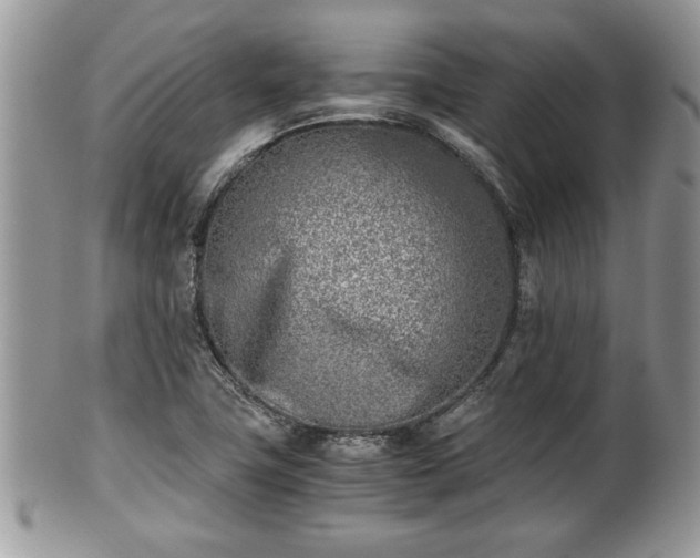 X0000102031411200807251341