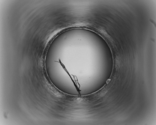 X0000102031412200807251341