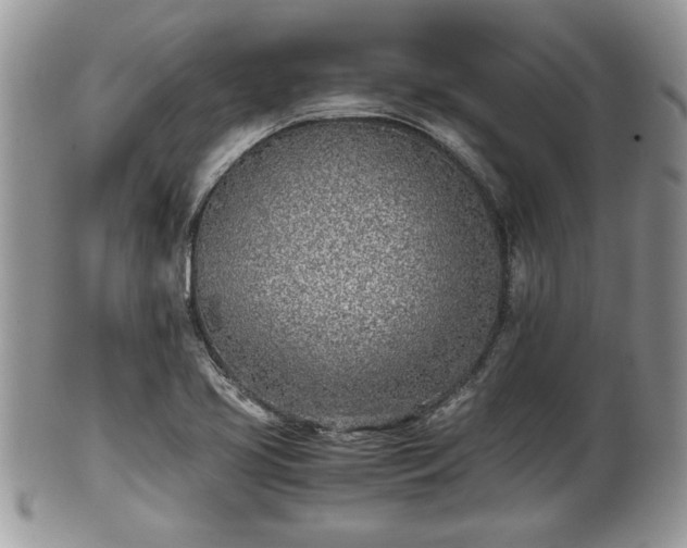 X0000102031413200807251341